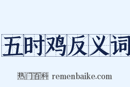 五时鸡反义词是什么意思的图片